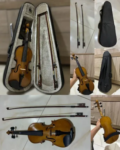 Violino