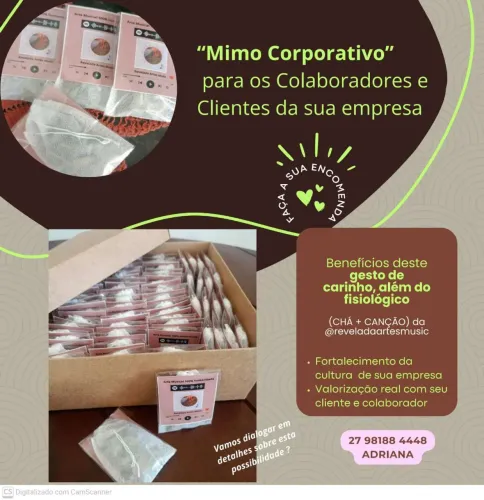 Mimo Corporativo
