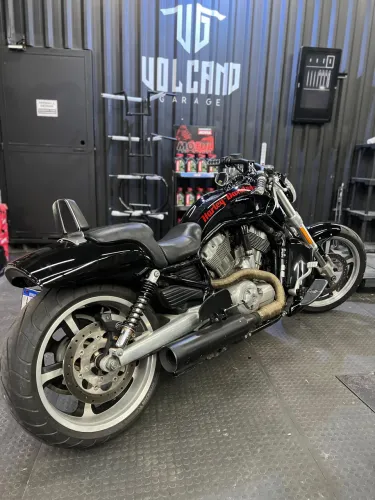 Vrod Muscle
