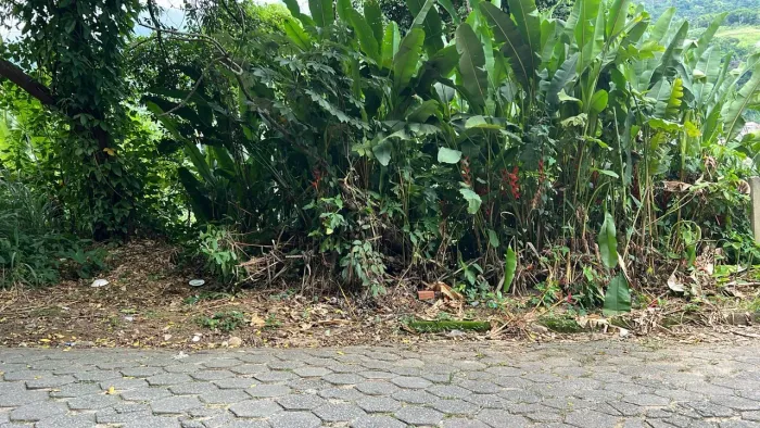 Vendo terreno em Conceição de Jacareí Mangaratiba