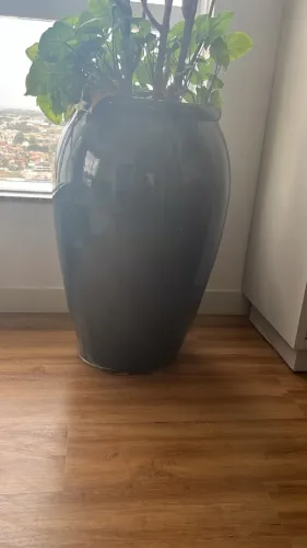 VASO