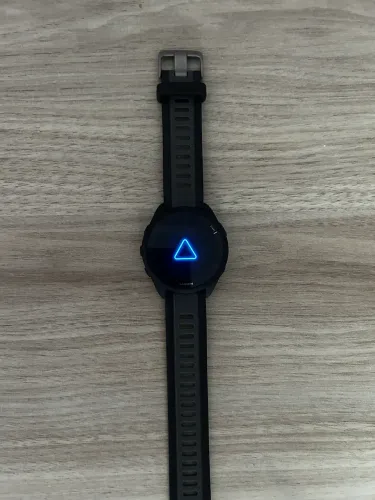GARMIN FORERUNNER 165