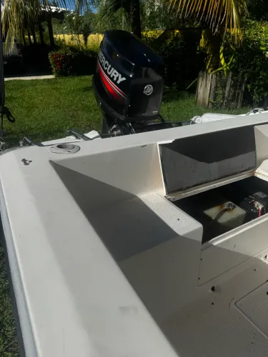 Lancha scualo 15,5 pés 