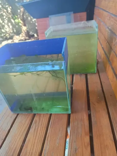 Aquários usados 4.8 litros aprox 20x20x12