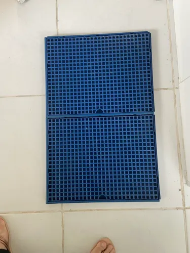 Sanitário Higiênico para Cachorros