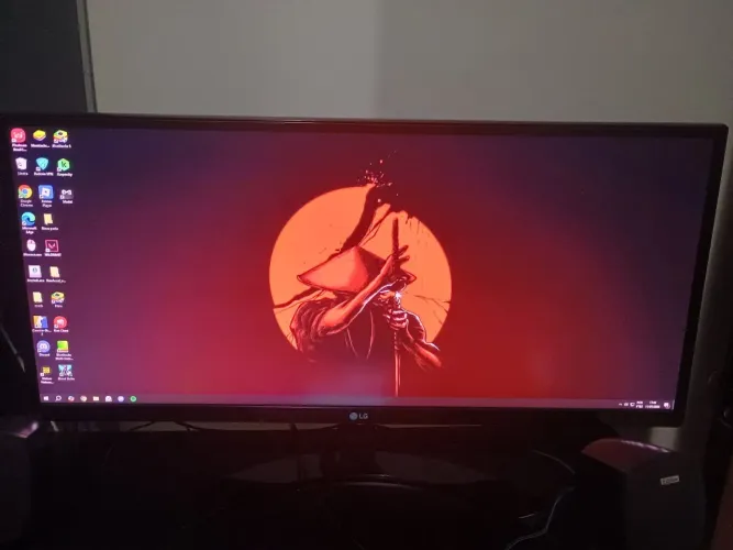 Monitor LG 29