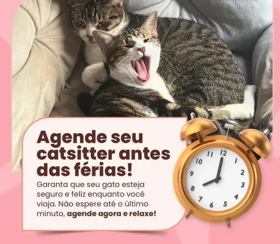 Catsitter - Cuido do seu bichinho enquanto não está