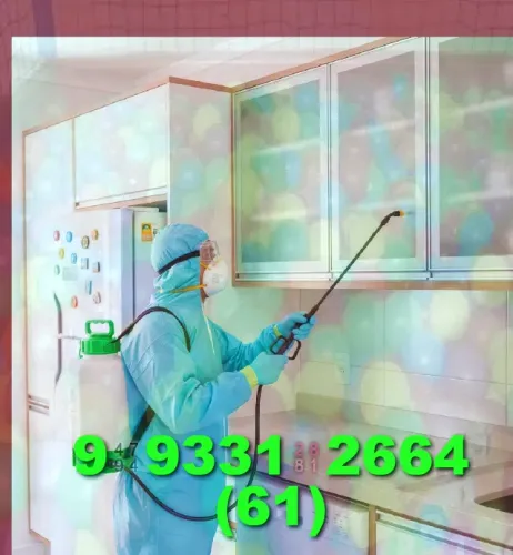 Dedetização com qualidade e segurança para sua casa e empresa! Faça sua solicitação.