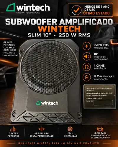 Subwoofer Amplificado Wintech Slim 10? 250W RMS - Excelente Estado