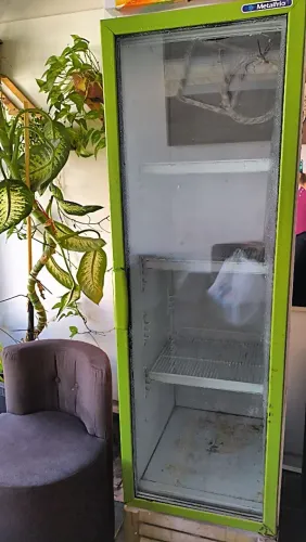 Freezer expositor