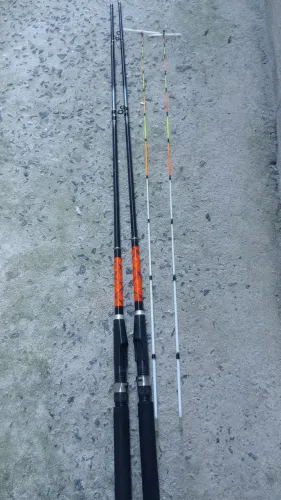 Vara coral fish