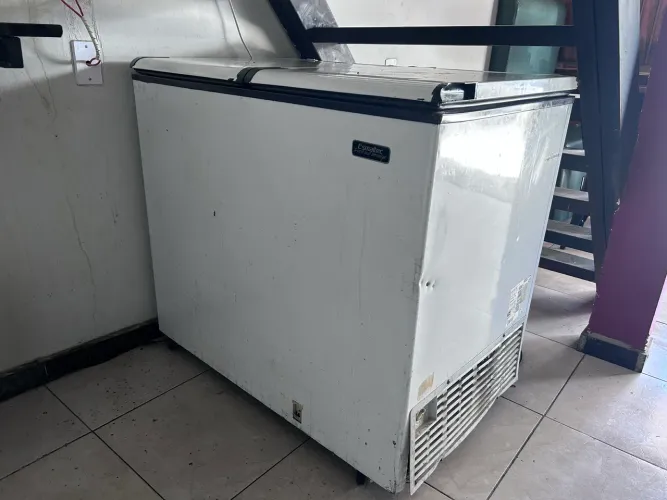 Freezer horizontal