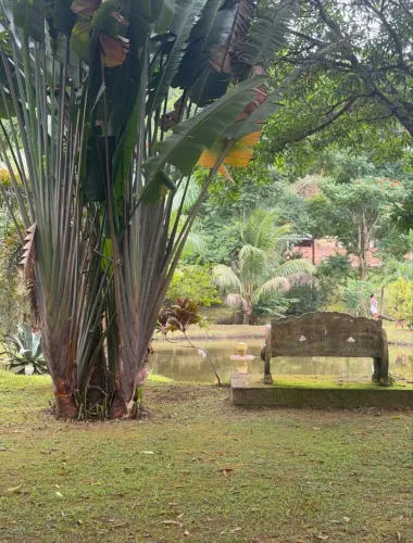 Sítio Cinematográfico com muitas frutíferas Magé/Guapimirim