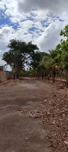Laticínio em Guapó 