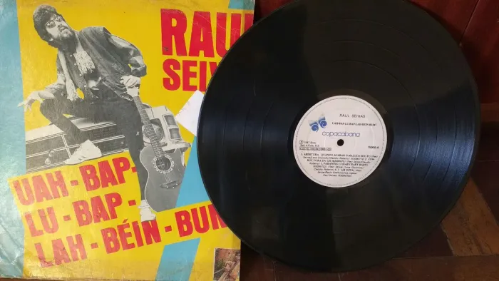Discos de vinil (Raul Seixas, Caetano Veloso, Gonzaguinha, Ritchie e Secos e molhados)