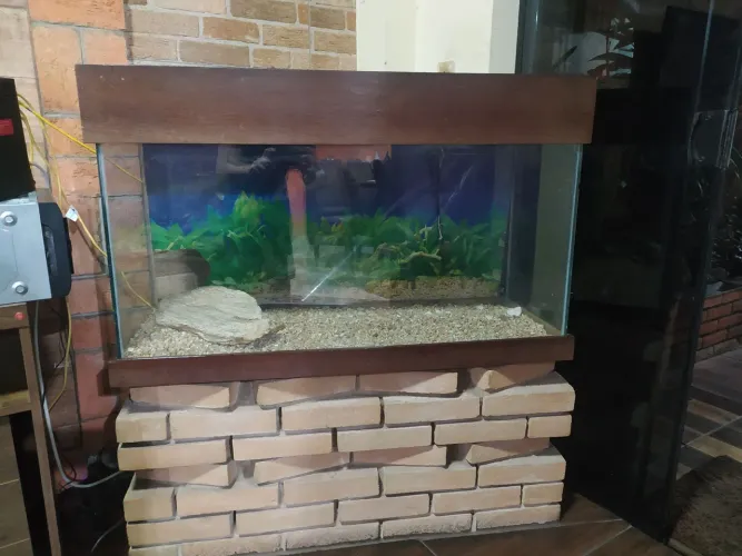 Aquário 100 Litros