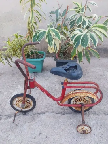 Bicicleta infantil (triciclo)