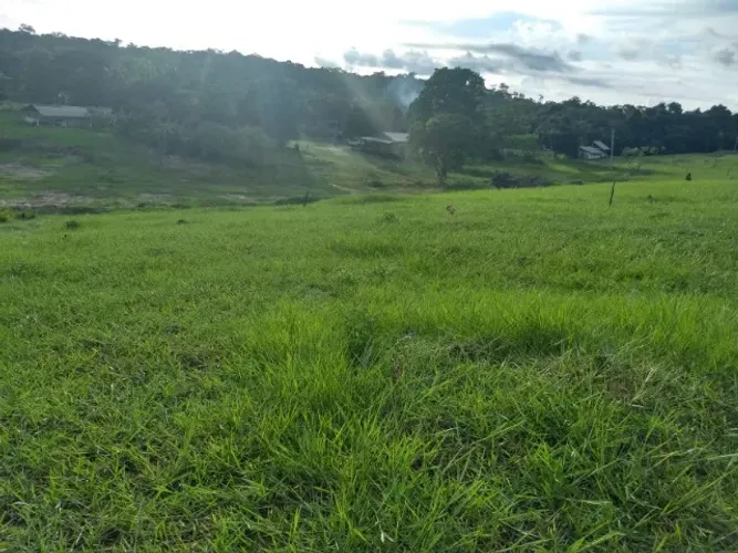 Fazenda 1.000 x 2.000 em Presidente Figueiredo 800,005,00