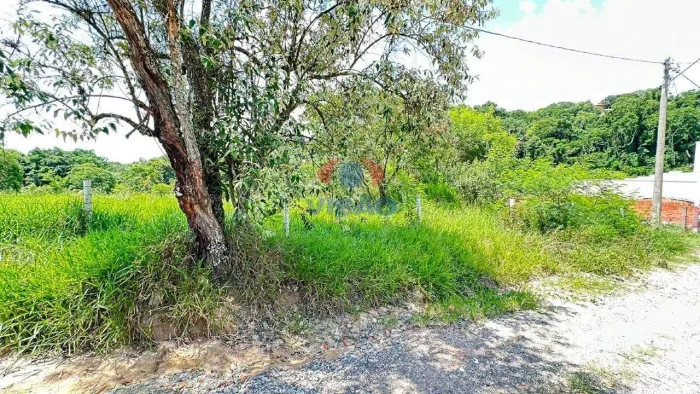 Lote de Chacara com 1000 m2 a venda na Gleba 04 - Recreio Campestre Internacional de Virac