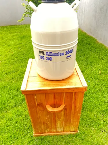 Botijão de nitrogênio /inseminação.