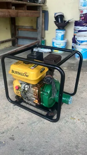 Bomba D'água Buffalo 4T