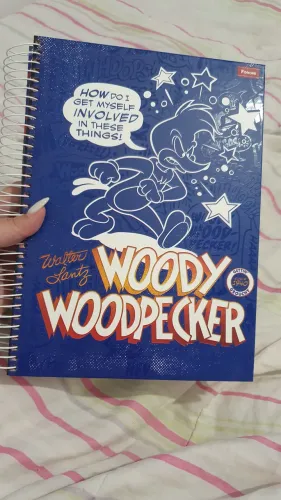 Caderno Woody Woodpecker 10 matérias 