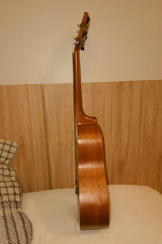 Ukulele (concert)