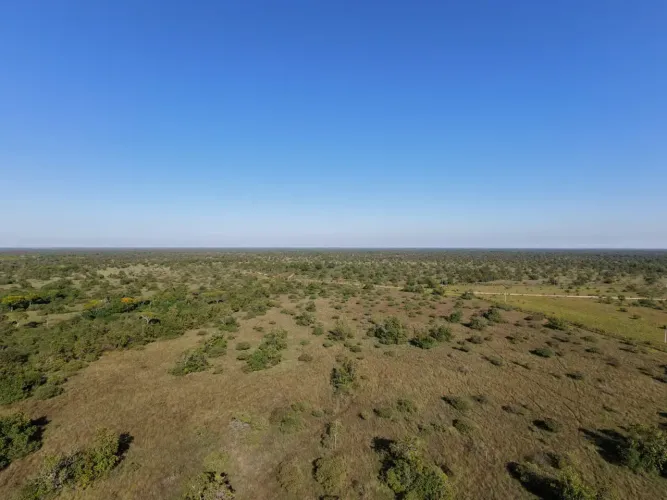 Fazenda em Cocalinho MT - 317 Alqueires