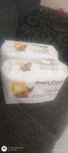 Fralda descartável de pet