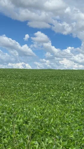 Imóvel rural no Região da Matrixã em Dovelândia