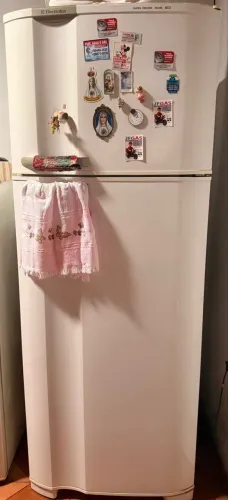 Vendo geladeira Eletrolux 490l 