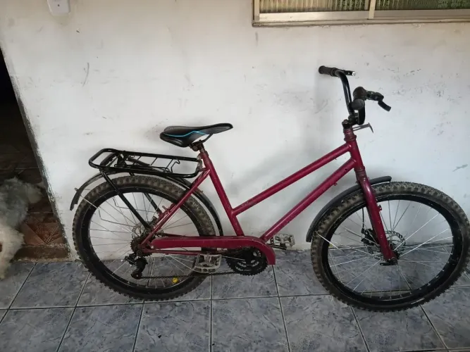 Bicicleta poti
