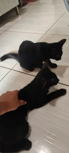 Para doação