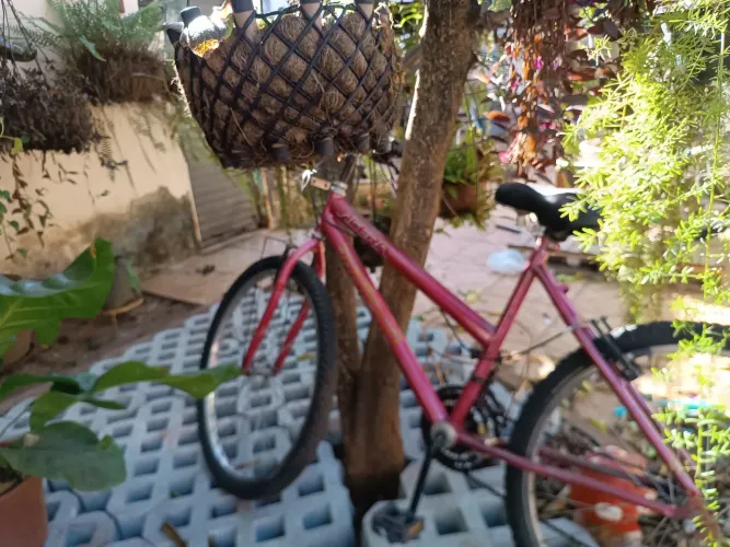 Bicicleta de marcha