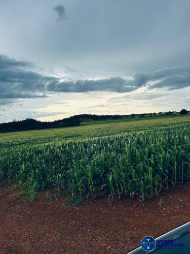 Fazenda à Venda em Araguaína-TO  822 Hectares  Ideal para lavoura