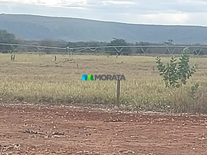 FAZENDA À VENDA - 3.995 HECTARES - JANAÚBA (MG)