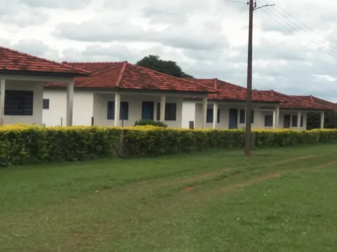 Fazenda 1275 Alqueires, 862 Alqueires em Cana, Topografia Plana, Terra Vermelha, Rica em Á