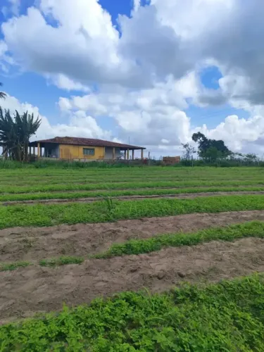Granja com 17 hectares bem localizada entre Parnamirim e Monte Alegre