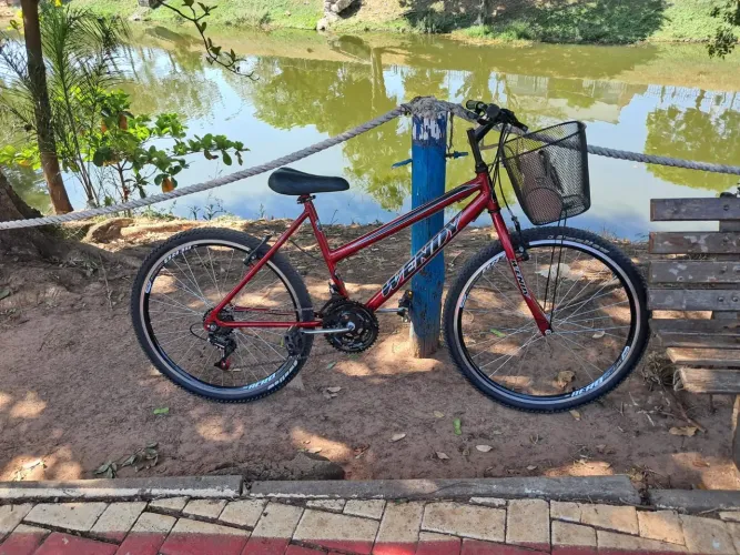 Bicicleta Feminina