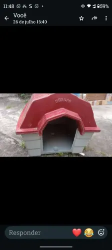 Casa para Cachorro ?