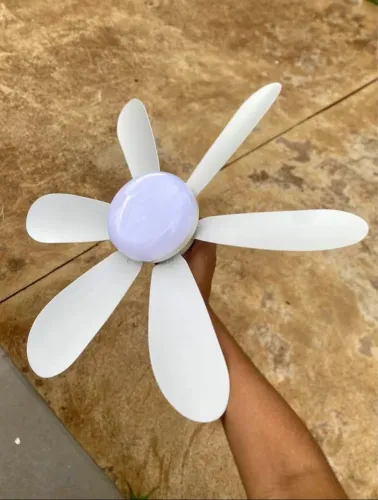 Lâmpada e ventilador de teto