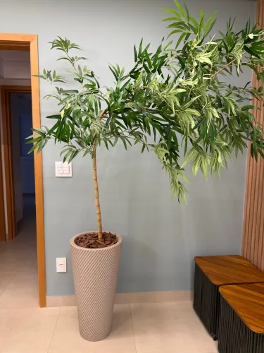 Vaso decorativo e árvore de bambu