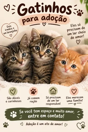 DOAÇÃO DE GATINHOS ?