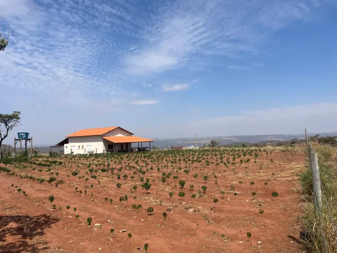 FAZENDA À VENDA EM ARAGUARI/MG