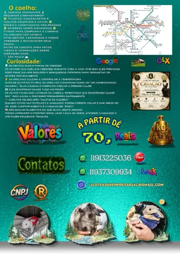Coelhos