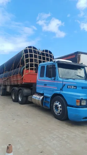 Cavalinho Scania 113