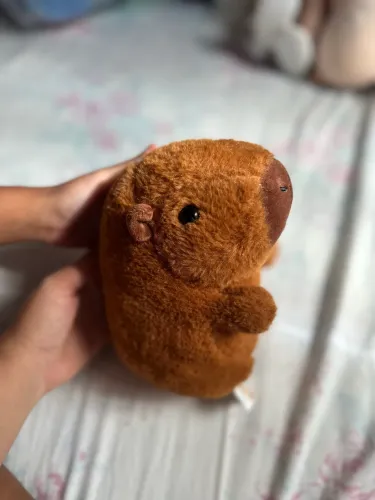 Pelúcia fofa