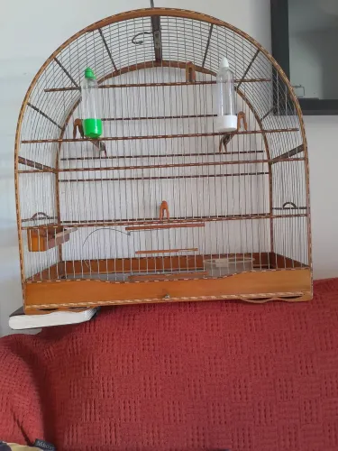 Gaiola Especial para Curió