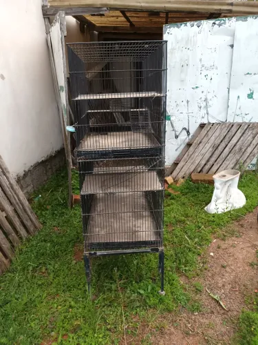 Vendo Gaiola  para Coelhos e Codornas 