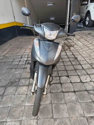 Blz ex 2015